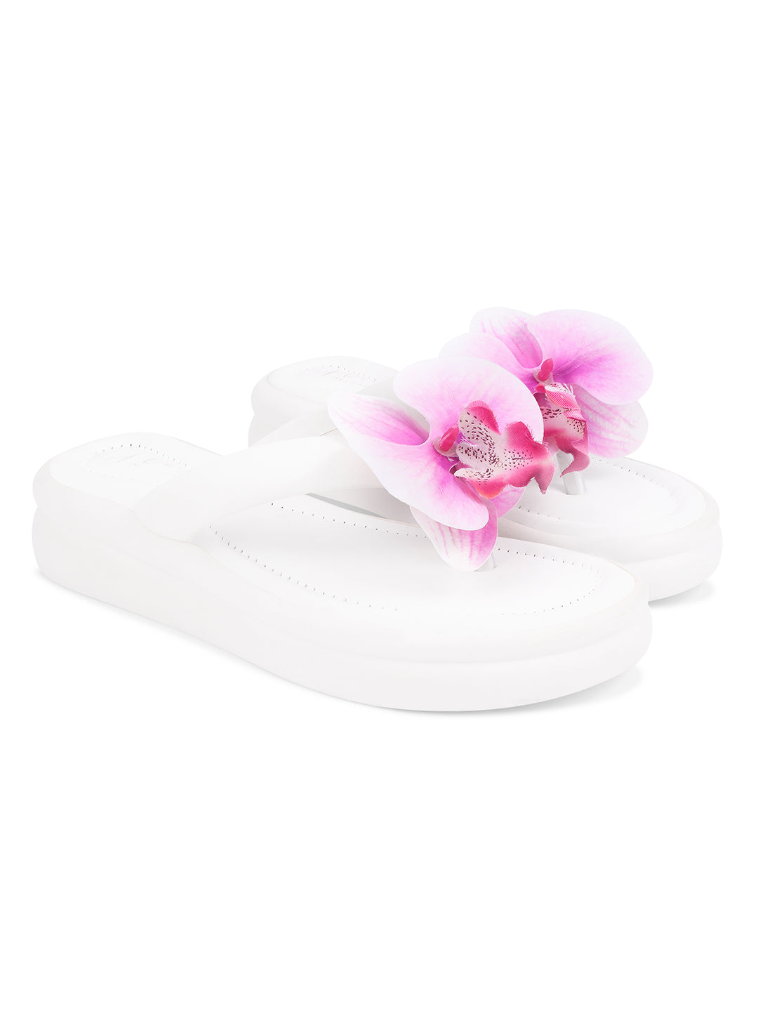 White-Pink